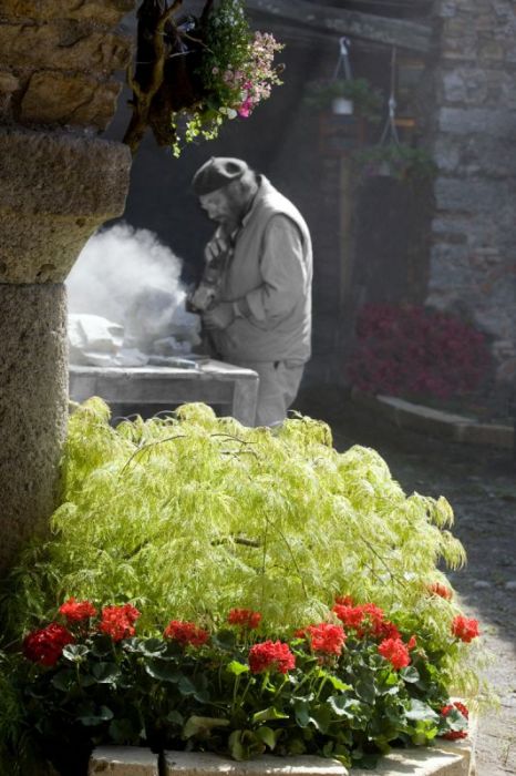 Il Territorio di Preseglie